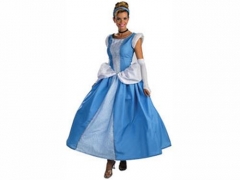 All The Fun Inflatables and Disney Princess Costumes