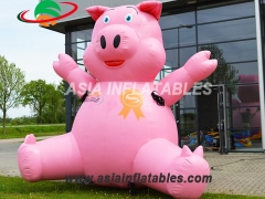 Giant Cartoon  Inflatable Pig For Congratulations