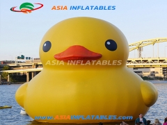 Children Rides Custom Cute Inflatable Duck Cartoon For Pool Floating